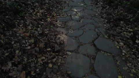 Roman road Vidéo 144431189