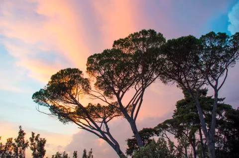 Roman Sunset Stock Photos