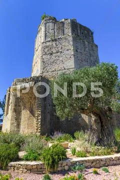 Roman tower in nimes, provence, france Stock Photos