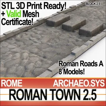 Roman Town Roads A 2.5 STL Printable 3D Model