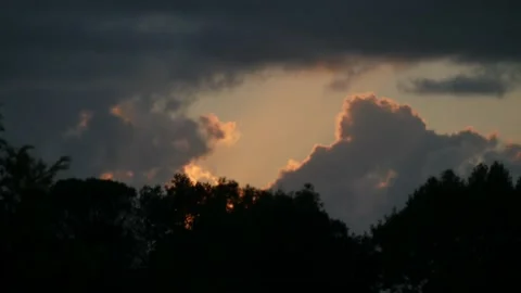 Roman Treeline Sunset I Stock Footage 162403221