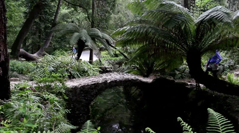 Romance on a bridge Stock Footage 31998937