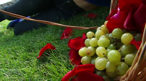 Romance Stock Footage 4385375