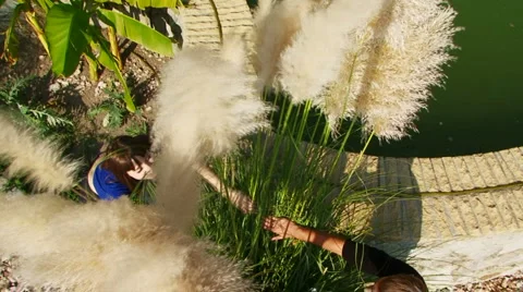 Romance Stock Footage 4426158