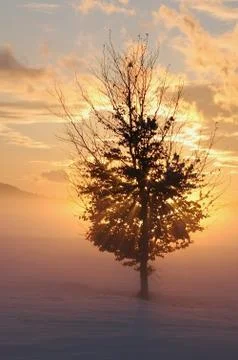 Romance Stock Photos