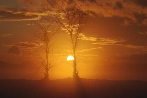 Romance Stock Photos