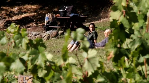 Romance at a winery Stock Footage 850286