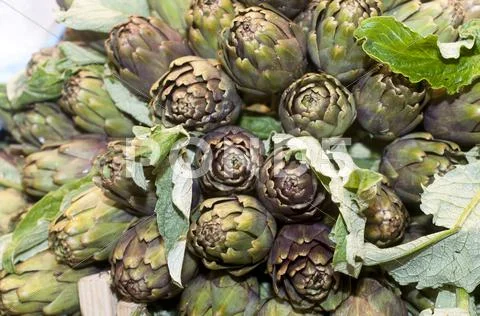 Romaneschi artichokes on display Stock Photos