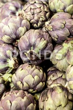Romaneschi artichokes on display Stock Photos