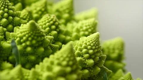 Romanesco broccoli cabbage or Roman Cauliflower abstract texture on grey Stock Footage 323295102