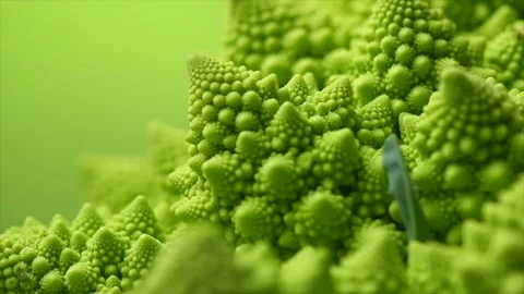 Romanesco broccoli cabbage or Roman Cauliflower abstract texture on green Stock Footage 330538573