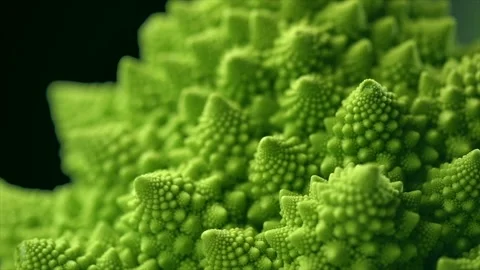 Romanesco broccoli cabbage or Roman Cauliflower abstract texture on black Stock Footage 341894825