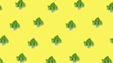 Romanesco broccoli diagonal pattern Stock Footage 139868068