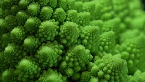 Romanesco broccoli head macro view. Green cabbage, close-up, fibonacci sequ.. Stock Photos