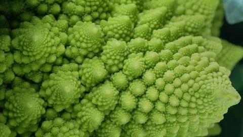 Romanesco broccoli head macro view. Green cabbage, close-up, fibonacci sequ.. Stock Photos