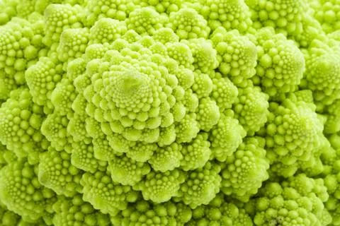 Romanesco broccoli Foto stock
