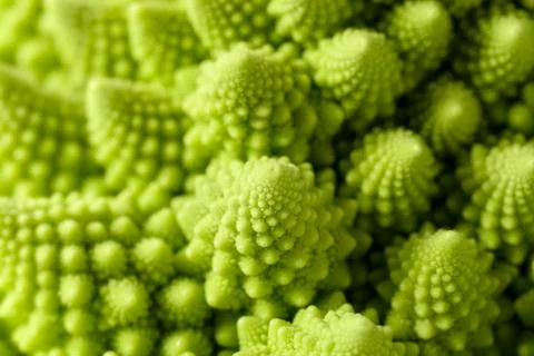 Romanesco broccoli Stock Photos
