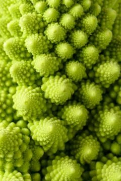 Romanesco broccoli Stock Photos