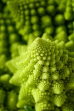 Romanesco broccoli Stock Photos