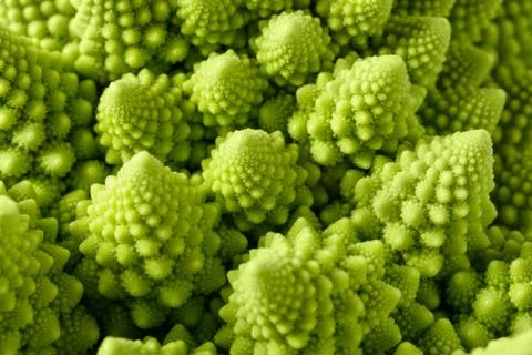 Romanesco broccoli Stock Photos