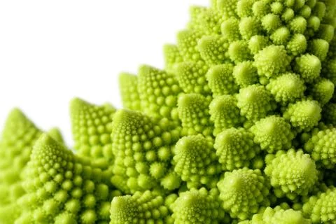 Romanesco broccoli Stock Photos
