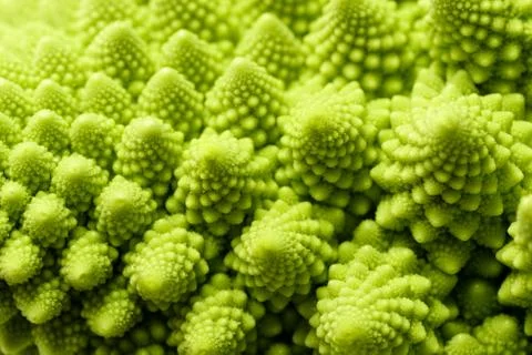 Romanesco broccoli Stock Photos