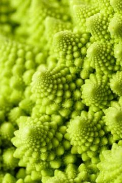 Romanesco broccoli Stock Photos