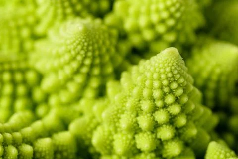 Romanesco broccoli Stock Photos