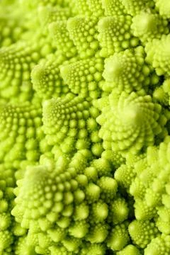 Romanesco broccoli Stock Photos