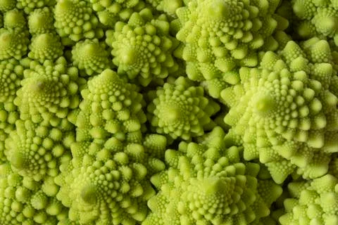 Romanesco broccoli Stock Photos