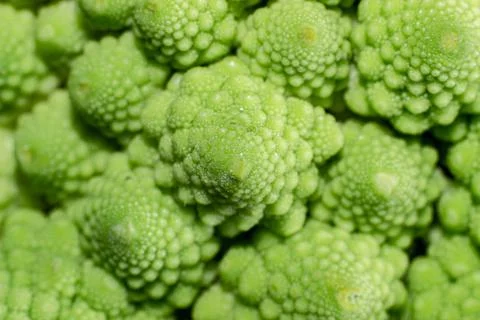 Romanesco broccoli Stock Photos