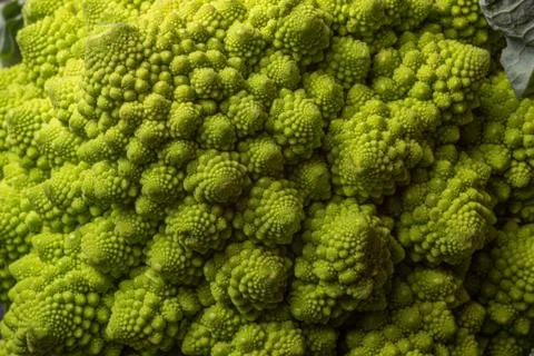 Romanesco broccoli Stock Photos