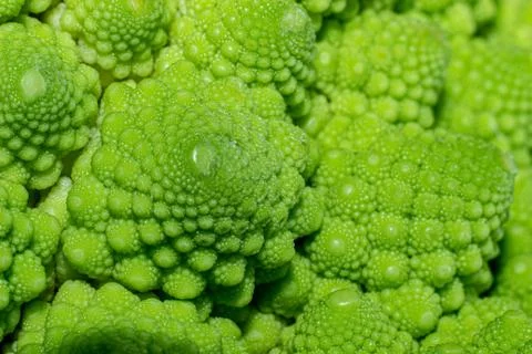 Romanesco broccoli Stock Photos
