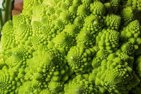 Romanesco broccoli Stock Photos
