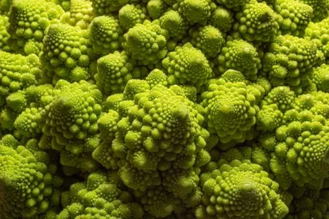 Romanesco broccoli Stock Photos