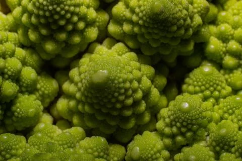 Romanesco broccoli Stock Photos