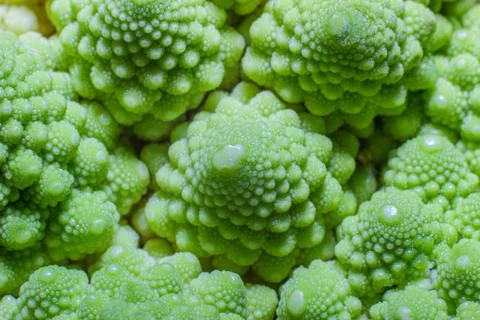 Romanesco broccoli Stock Photos