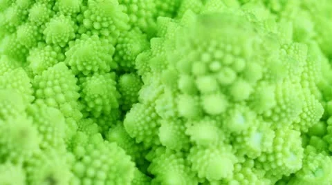 Romanesco Cabbage Stock Footage 10761281