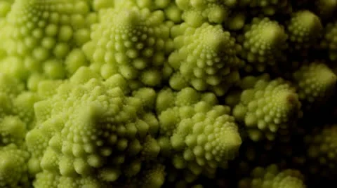 Romanesco Cauliflower Vidéo 12728737