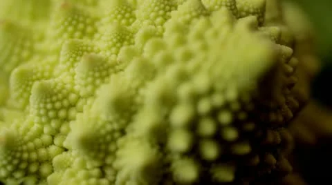 Romanesco Cauliflower rack focus Видео 12727336