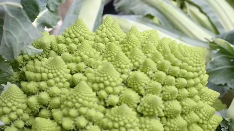 Romanesco's Geometric Marvel: A Visual Feast at the Market Video stock 270772392