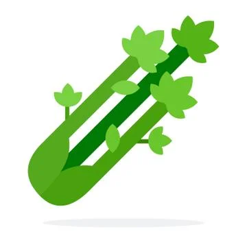 Romanesque Cabbage vector flat isolated Stock Illustration