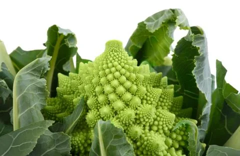 Romanesque cauliflower Stock Photos