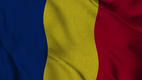 Romania Flag Animation Seamless Loop Waving in the Wind - 3D Animation (4K UHD) 스톡 동영상 320468440