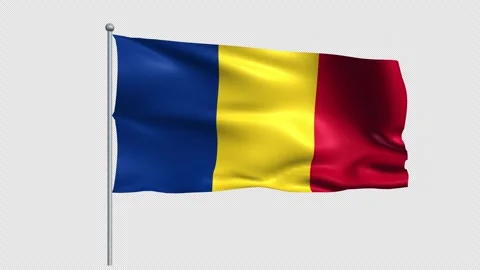 Romania flag - Pack 1 Stock Footage 339269981
