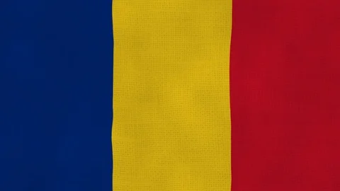 Romania flag waving Stock Footage 102644113
