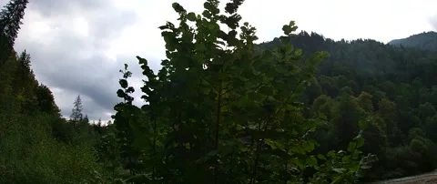 Romania, old pleasure train 스톡 동영상 162092561