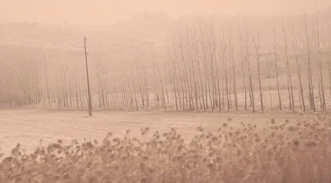 Romania from the train, winter Stockbeeldmateriaal 123084587