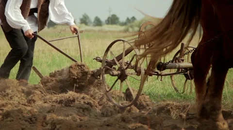 Romanian farmer 1 Stock Footage