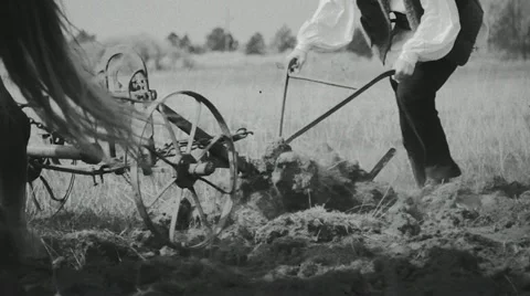 Romanian farmer 1 - OLD Stock Footage 12261938